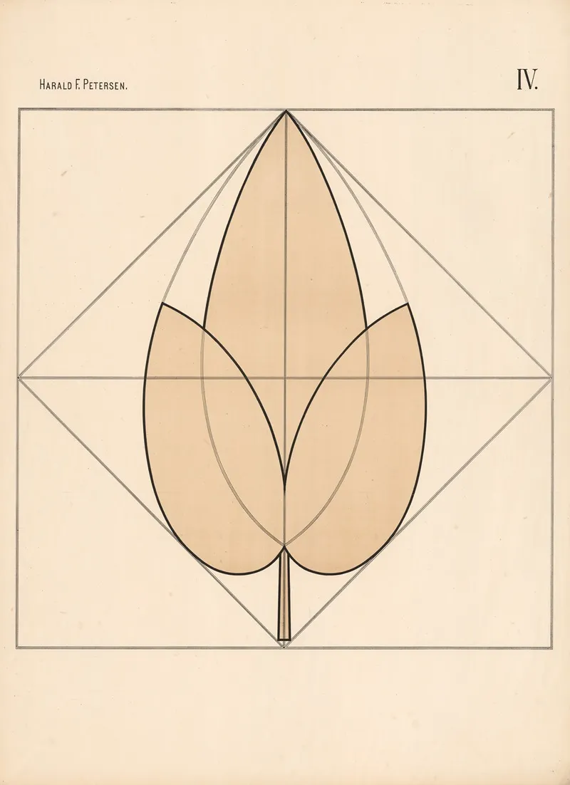 Elementary Freehand Drawing Vol 2 Pl 04