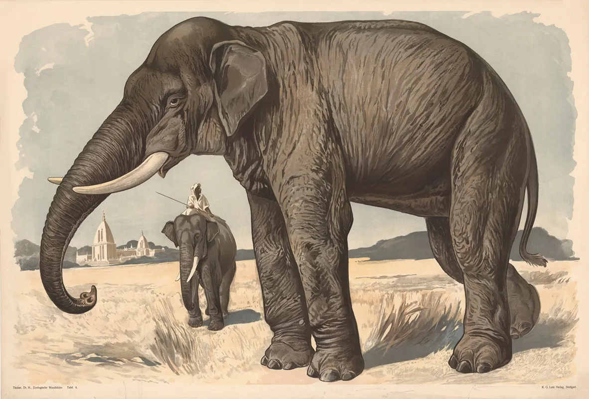 Elephant 3 Wall Art by Alfred Fiedler - High-Resolution Digital Print