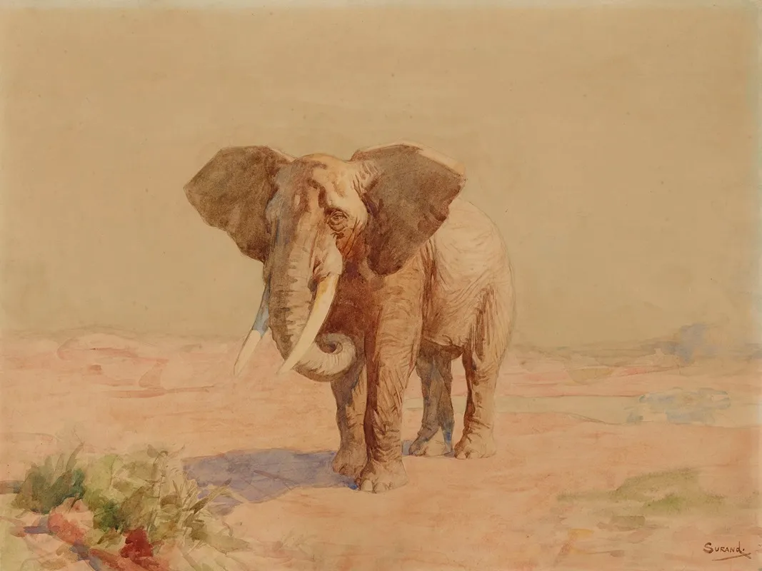 Elephant 4 Wall Art by Gustave Surand - High-Resolution Digital Print
