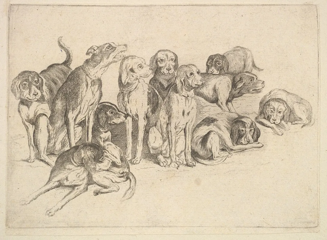 Eleven Hounds