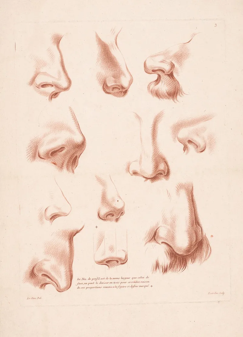 Eleven Noses From Different Perspectives Wall Art by Louis-François Roubiliac - High-Resolution Digital Print