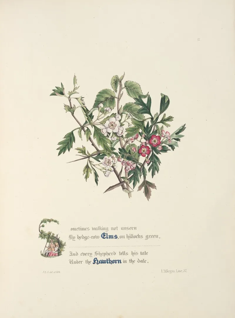Elms And Hawthorns Wall Art by Jane Elizabeth Giraud - High-Resolution Digital Print