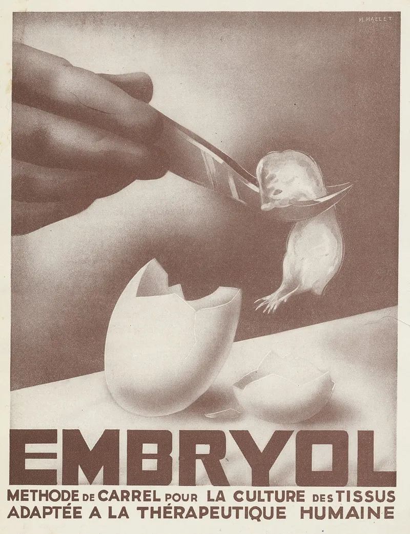 Embryol Wall Art by Laboratoire de l'Embryol - High-Resolution Digital Print