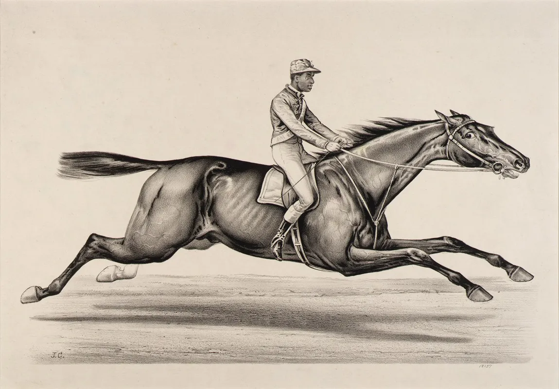 Emperor Of Norfolk Wall Art by John Cameron - High-Resolution Digital Print
