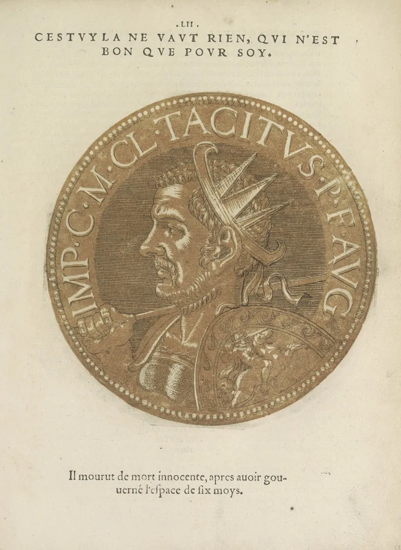 Emperor Tacitus Wall Art by Hubert Goltzius - High-Resolution Digital Print