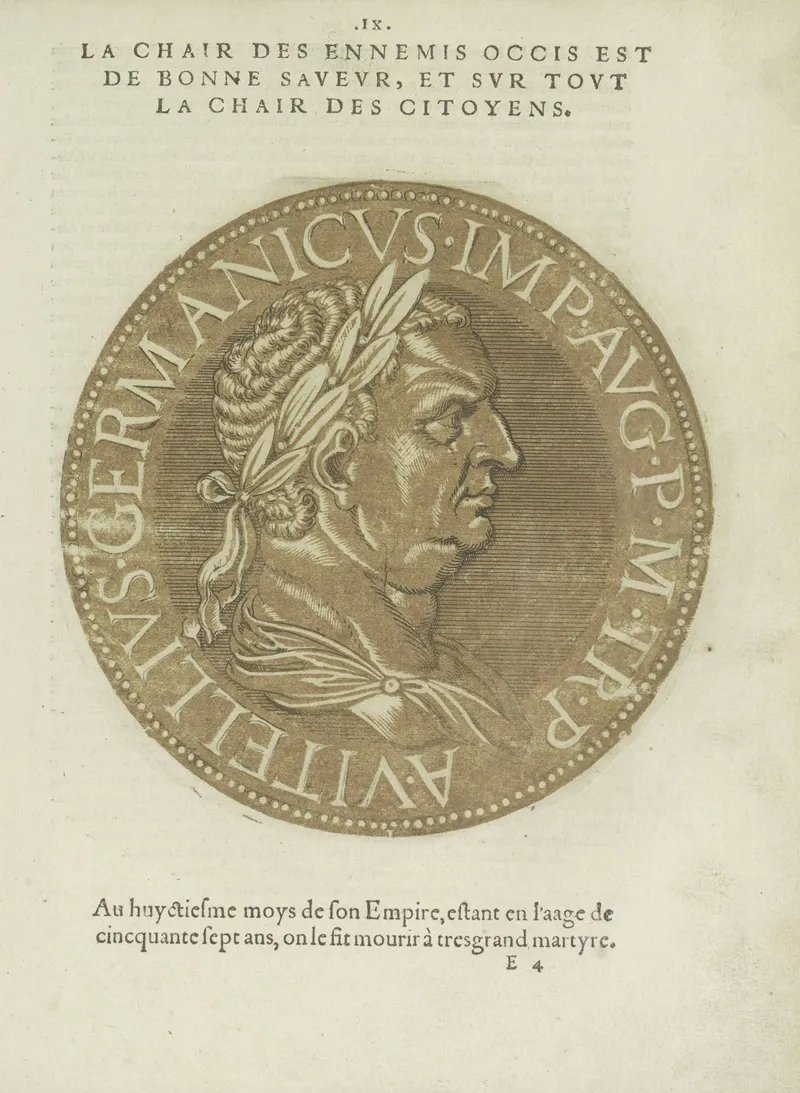 Emperor Vitellius Wall Art by Hubert Goltzius - High-Resolution Digital Print