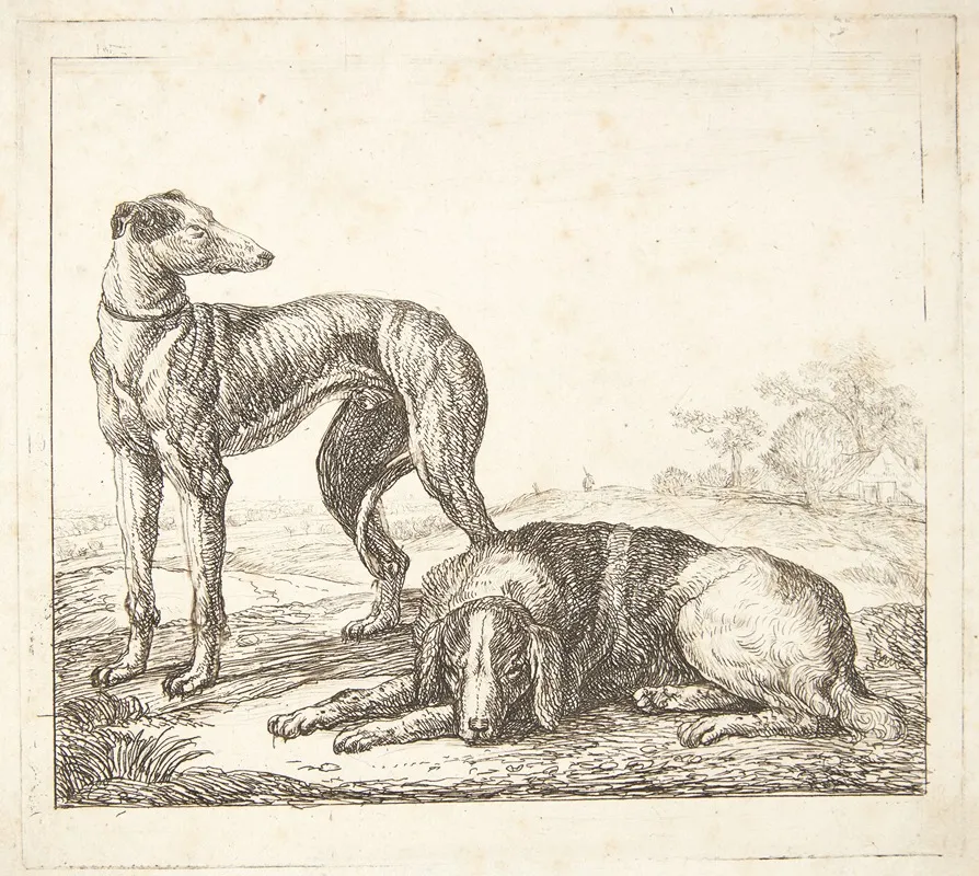 En Mynde Og En Liggende Hund