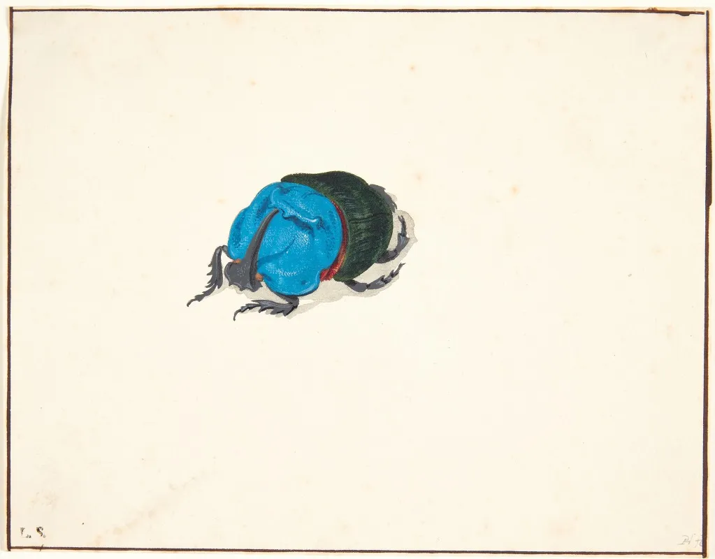 En Naesehornsbille Scarabaeidae Wall Art by Pieter Holsteijn - High-Resolution Digital Print