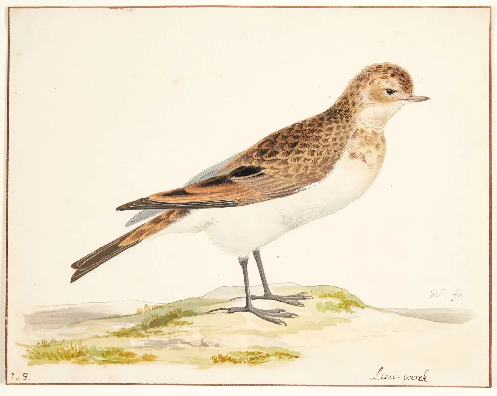 En Sanglaerke Alauda Arvensis Wall Art by Pieter Holsteijn - High-Resolution Digital Print