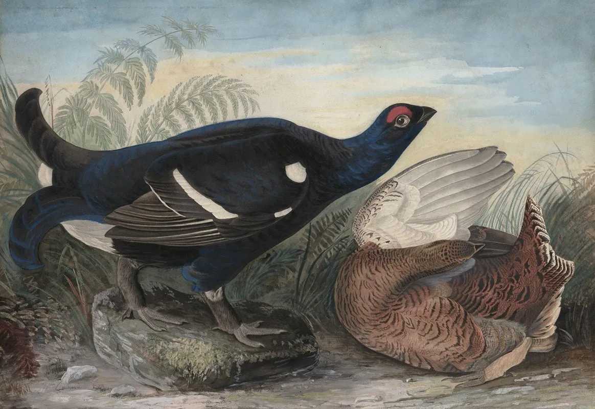 English Black Cocks Wall Art by John James Audubon - High-Resolution Digital Print