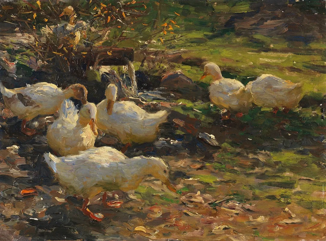 Enten Am Brunnele