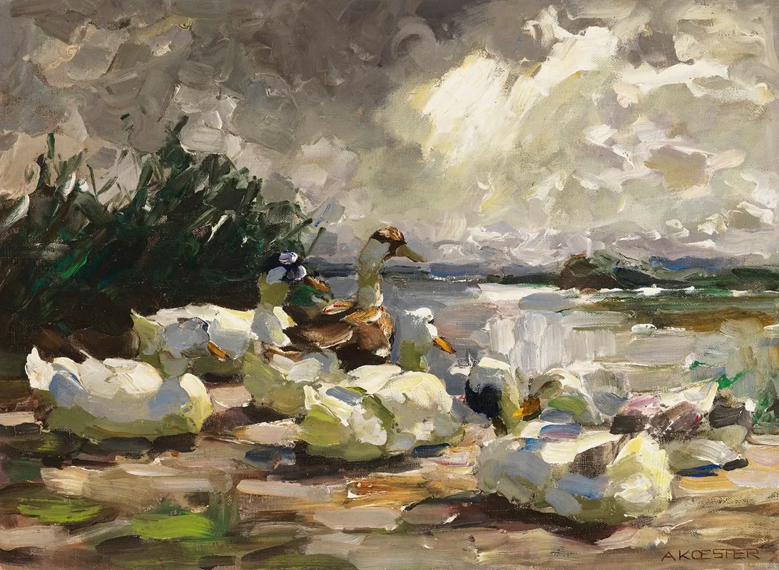 Enten Am Ufer Schone Wolkenstimmung