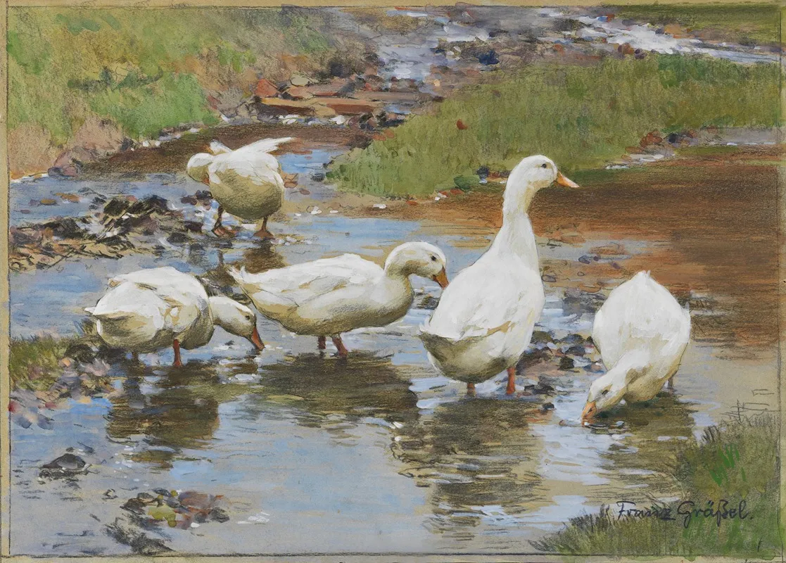 Enten Am Wasser