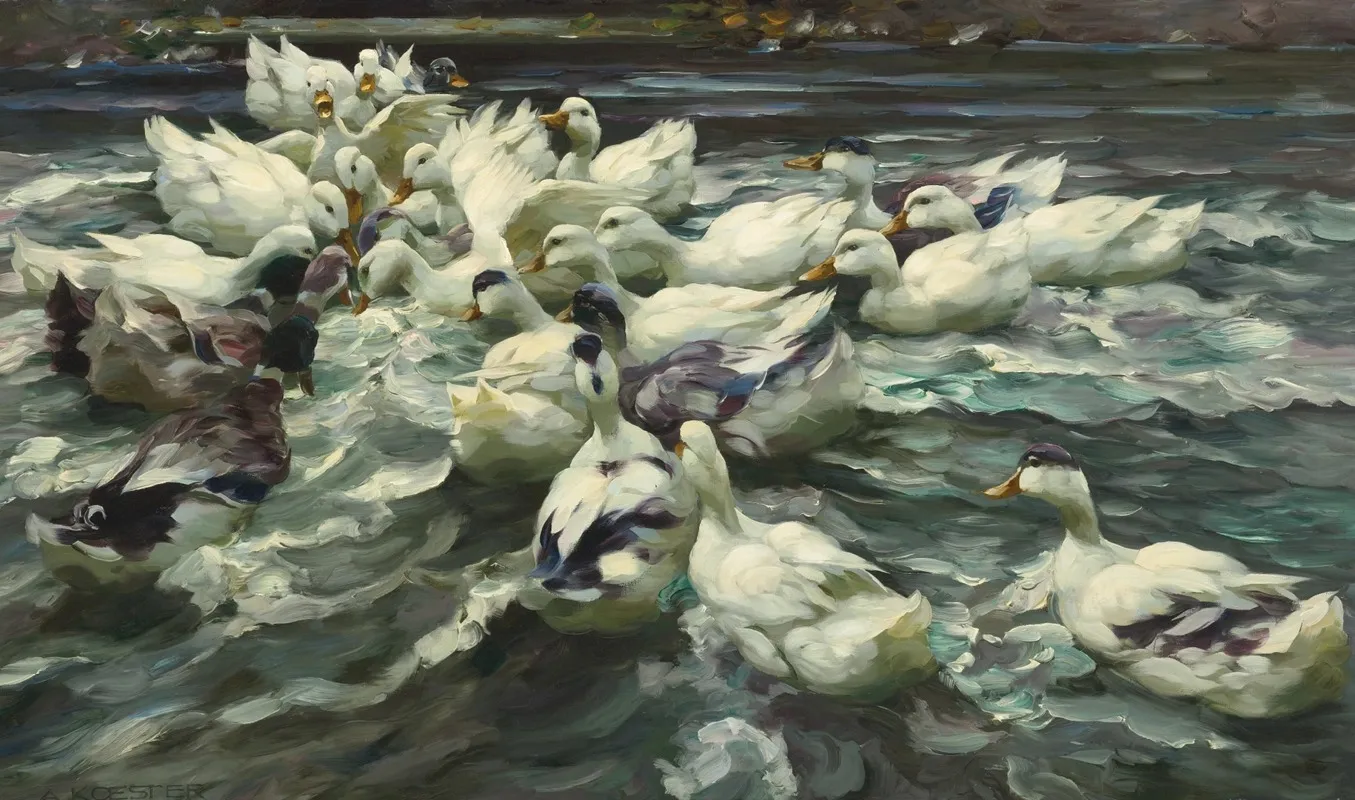 Enten In Teich Wilde Jagd
