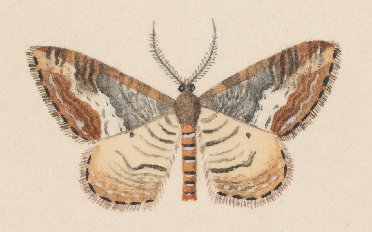 Entomology Watercolour Pl 039 Wall Art by George Hudson - High-Resolution Digital Print