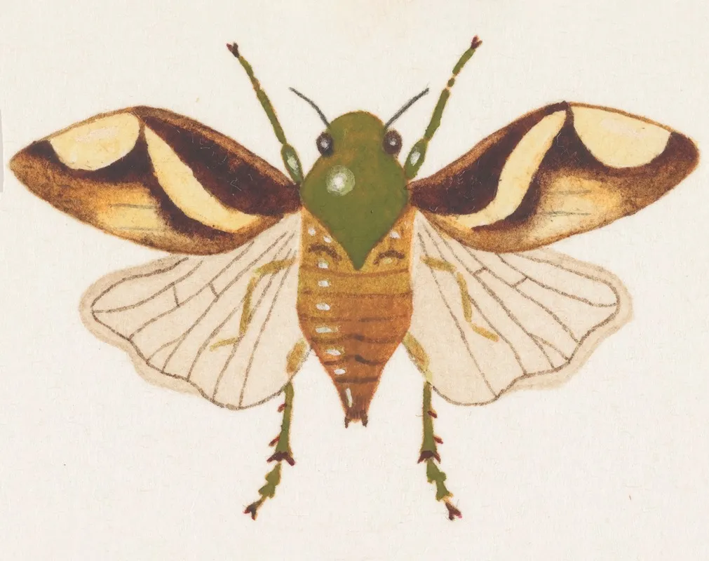 Entomology Watercolour Pl 078 Wall Art by George Hudson - High-Resolution Digital Print