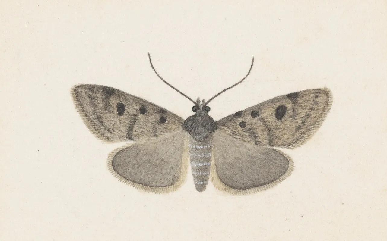 Entomology Watercolour Pl 129 Wall Art by George Hudson - High-Resolution Digital Print