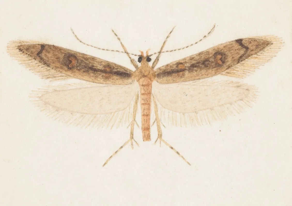 Entomology Watercolour Pl 150 Wall Art by George Hudson - High-Resolution Digital Print