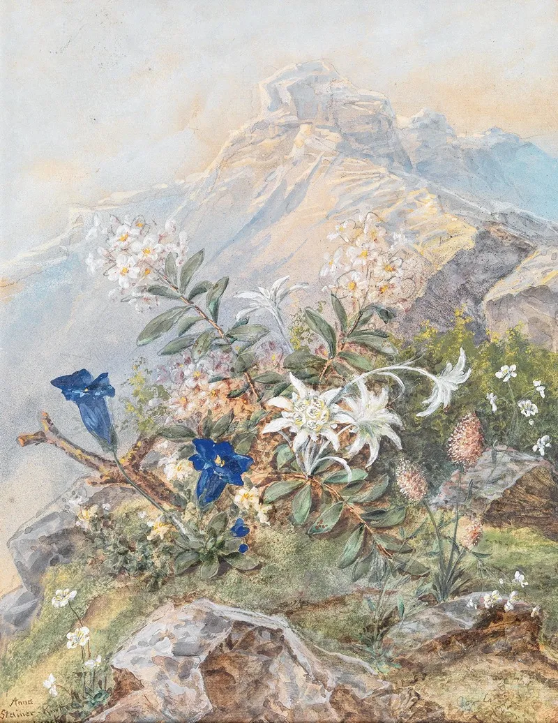 Enzian Und Edelweiss Wall Art by Anna Stainer-Knittel - High-Resolution Digital Print