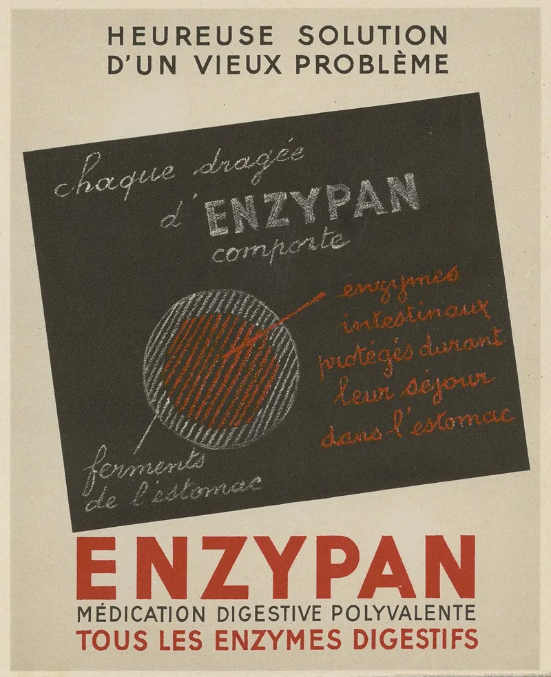 Enzypan Wall Art by Anonymous - High-Resolution Digital Print