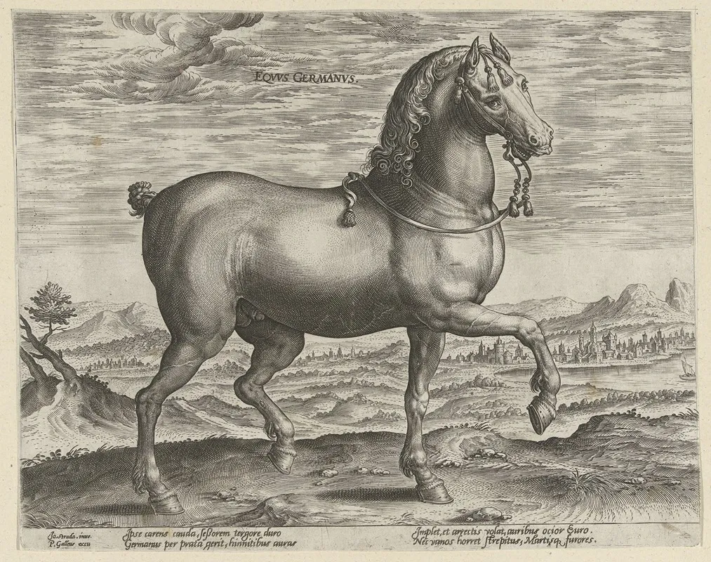 Equus Germanus Wall Art by Jan Collaert the Elder - High-Resolution Digital Print
