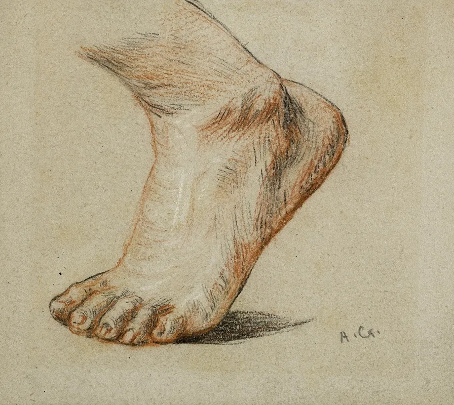 Etude Anatomique Pied Gauche Appuye Sur La Pointe