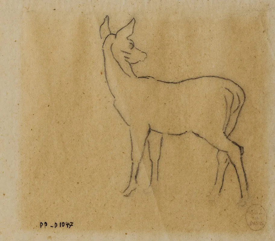 Etude De Gazelle