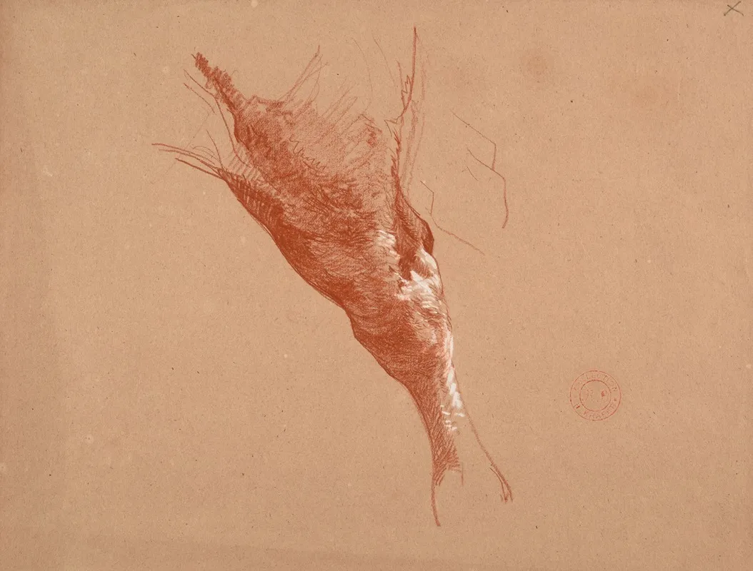 Etude De Patte De Bovide