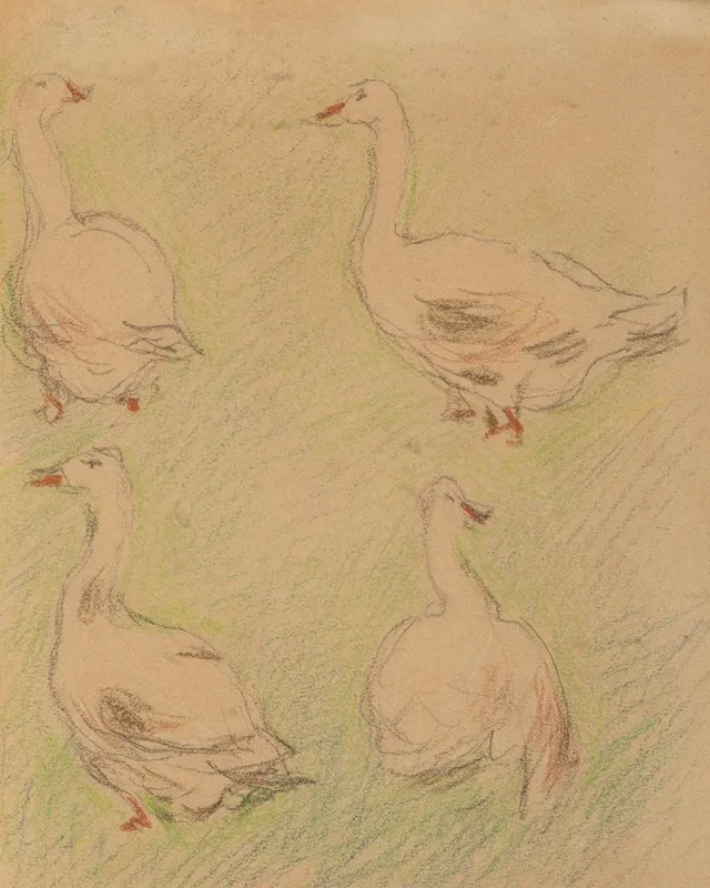 Etude De Quatre Oies