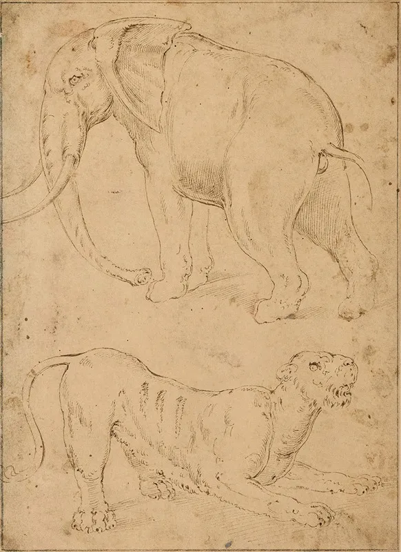 Etude Dun Elephant Et Dune Panthere Wall Art by Giovanni-Battista Franco - High-Resolution Digital Print