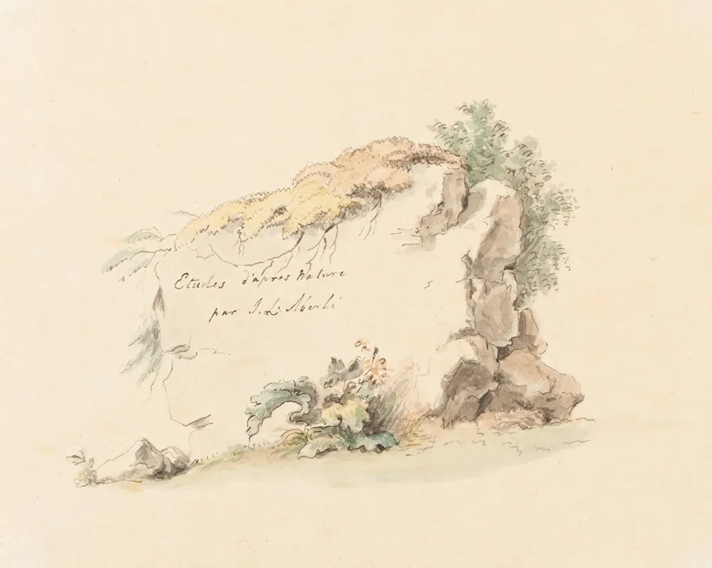 Etudes Dapres Nature Par J L Aberli