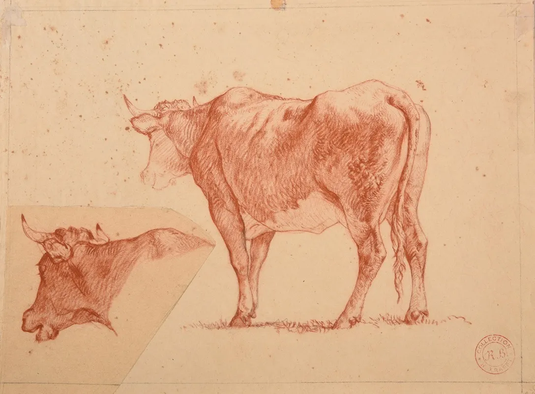 Etudes De Vaches 2