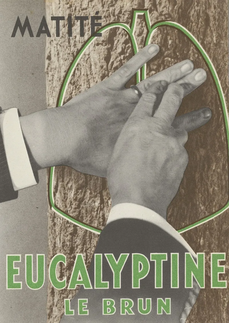 Eucalyptine Le Brun 11 Wall Art by Laboratoires Le Brun - High-Resolution Digital Print