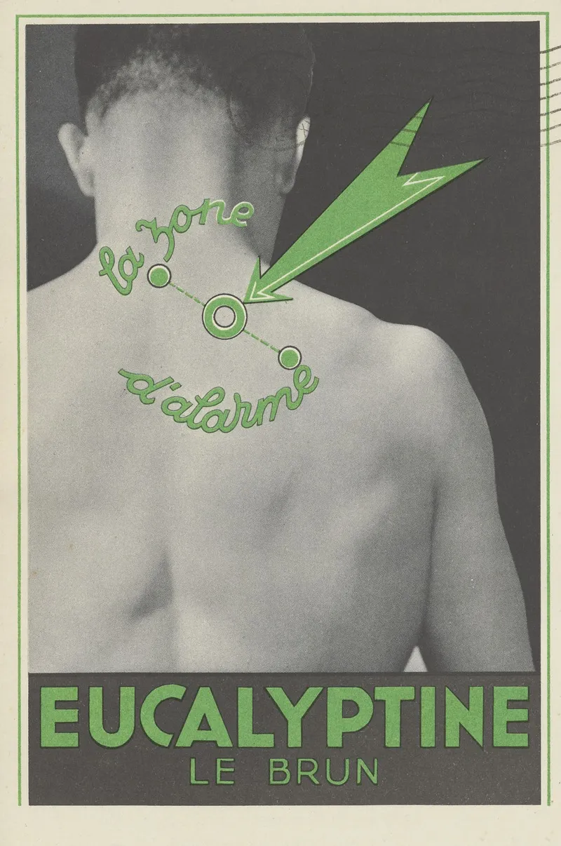Eucalyptine Le Brun 3