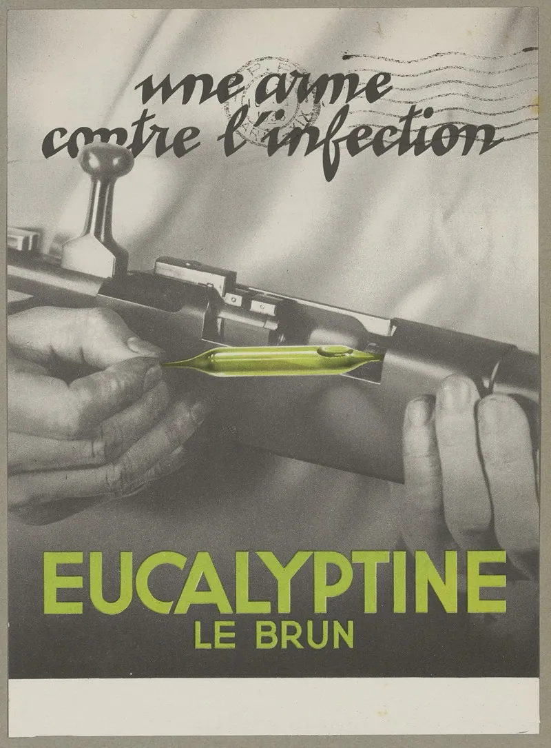 Eucalyptine Le Brun 4