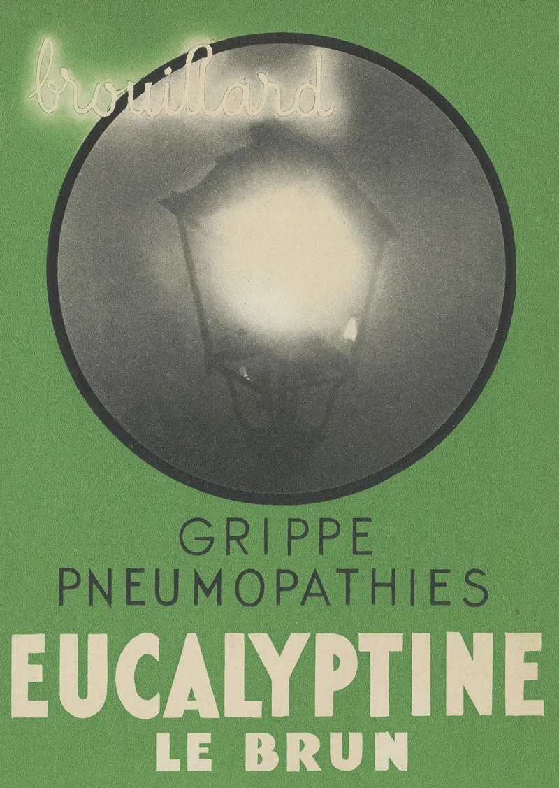 Eucalyptine Le Brun 7 Wall Art by Laboratoires Le Brun - High-Resolution Digital Print