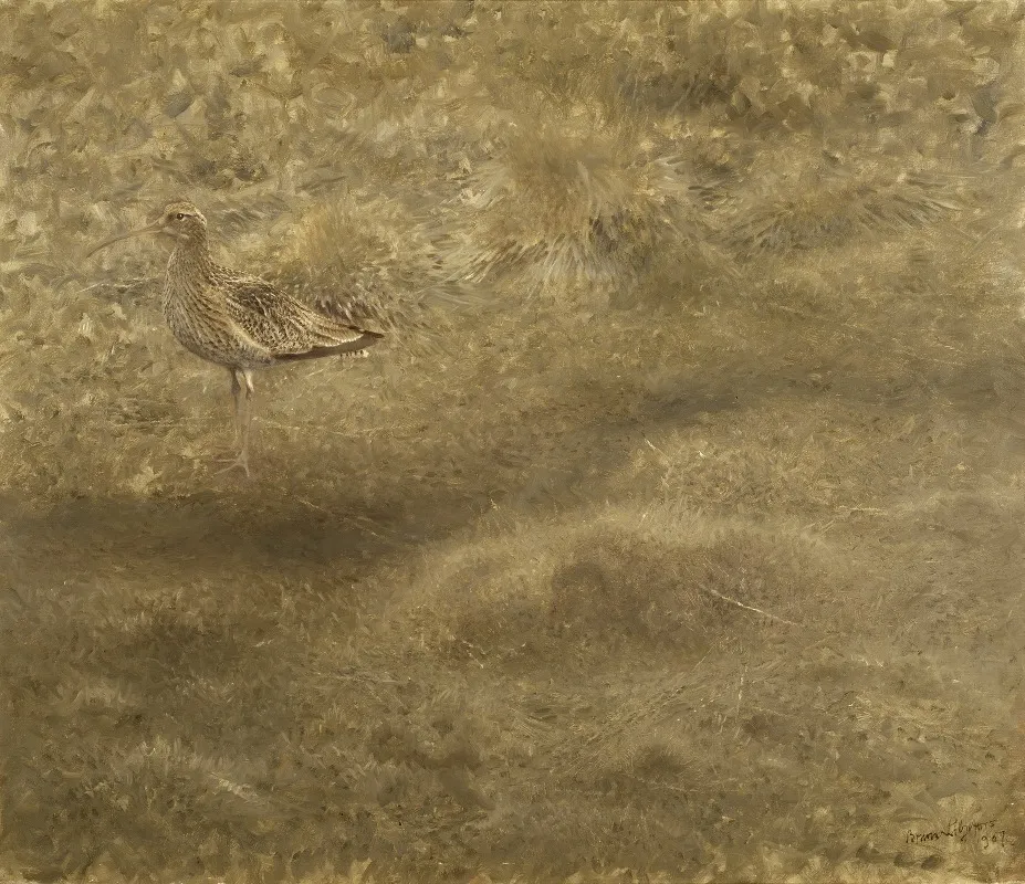 Eurasian Curlew