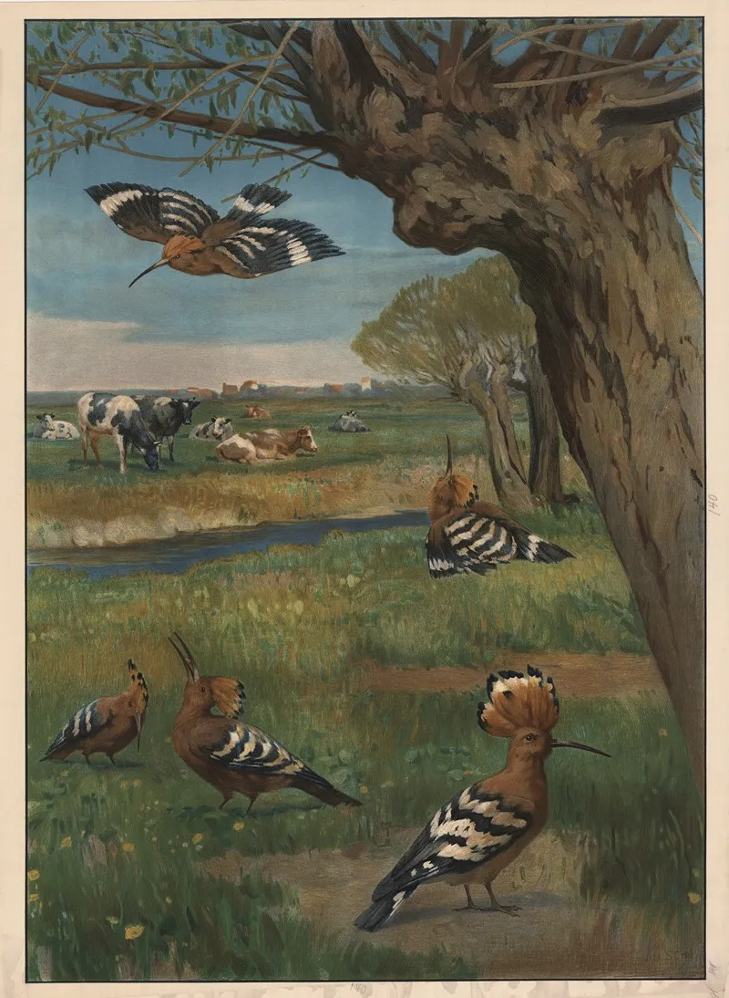 Eurasian Hoopoe Wall Art by Hans Schmidt - High-Resolution Digital Print
