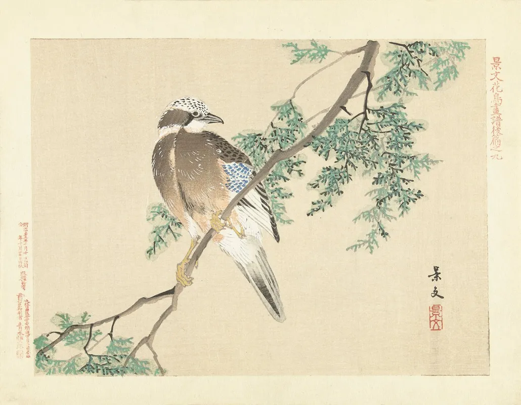Eurasian Jay Wall Art by Matsumura Keibun - High-Resolution Digital Print