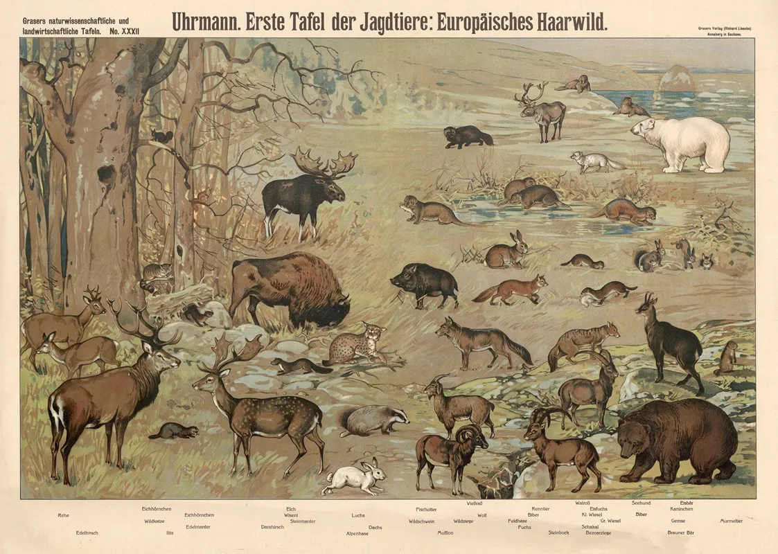 European Game Animals Wall Art by E. Schiewick - High-Resolution Digital Print