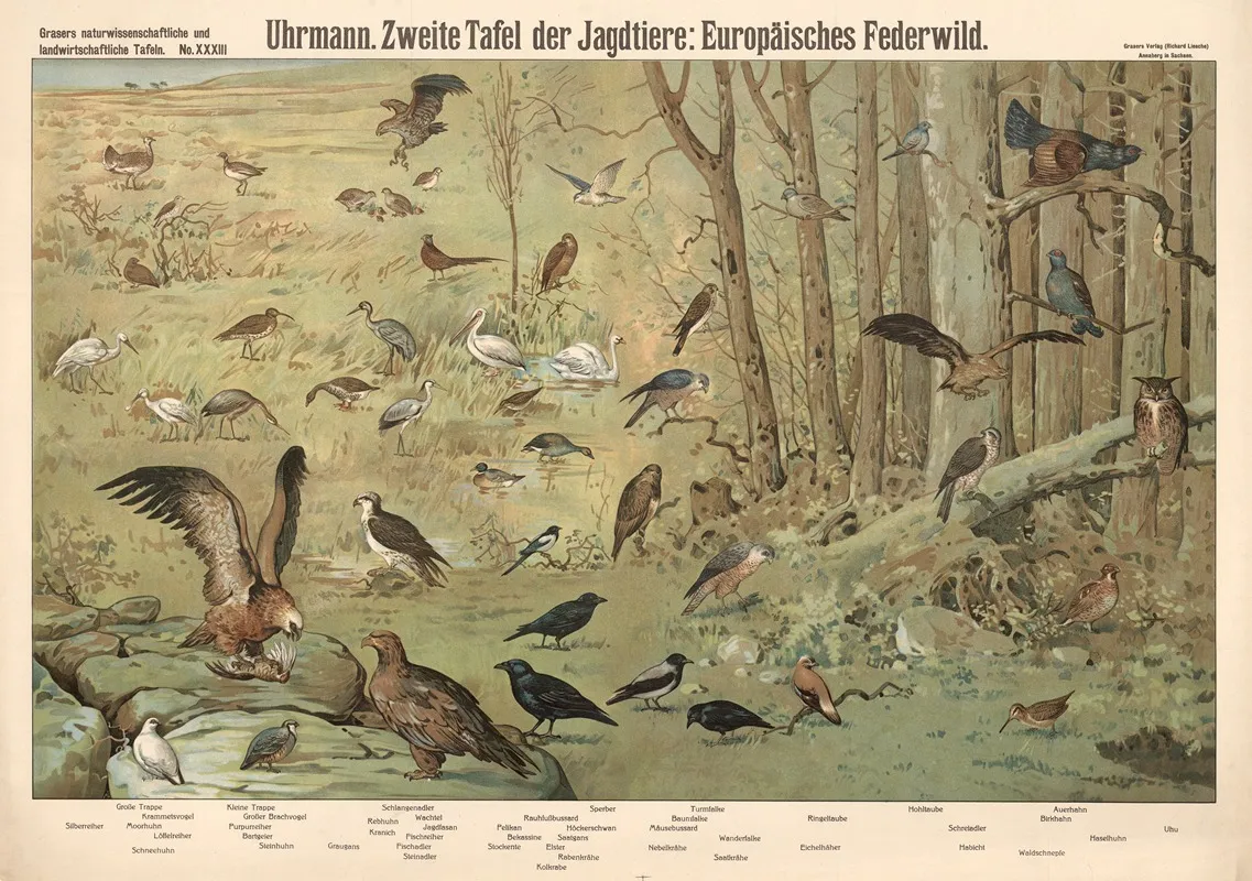 European Game Birds Wall Art by E. Schiewick - High-Resolution Digital Print