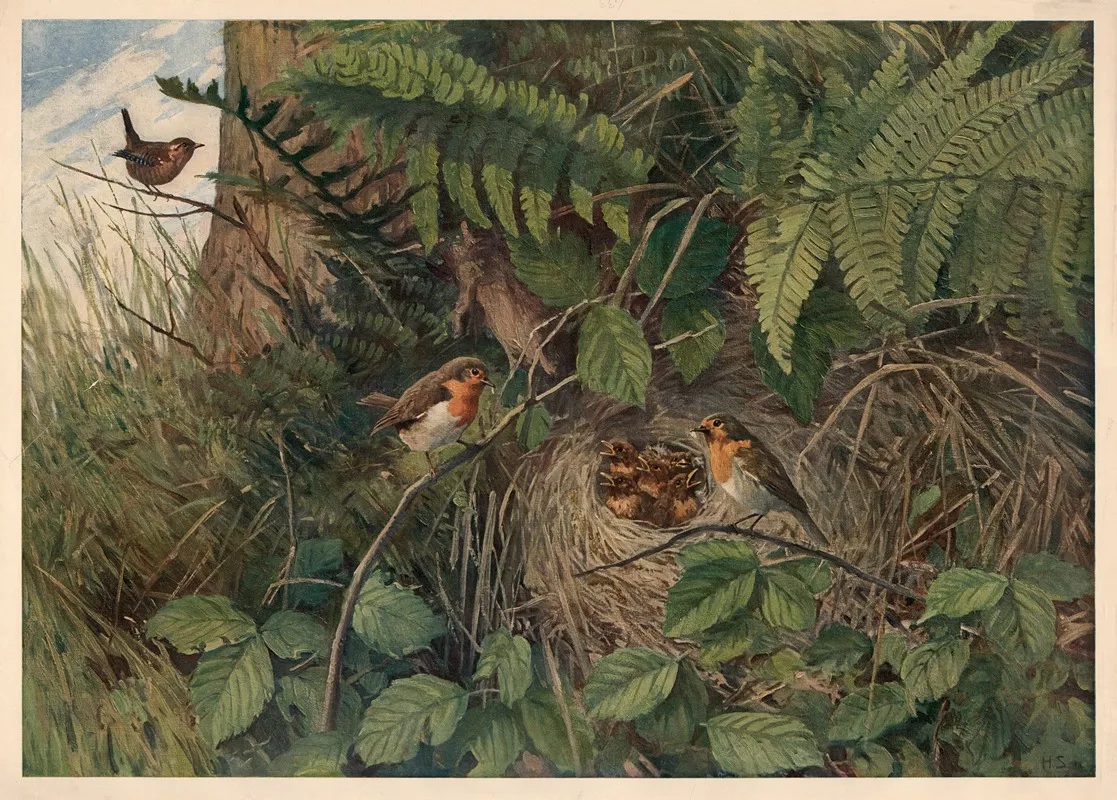 European Robin Wall Art by Hans Schmidt - High-Resolution Digital Print