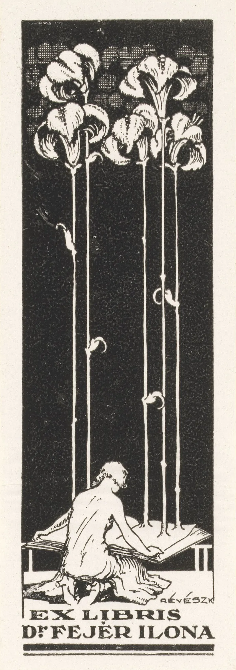 Ex Libris Van Ilona Fejer
