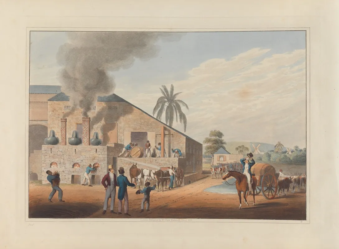 Exterior Of Curing House And Stills