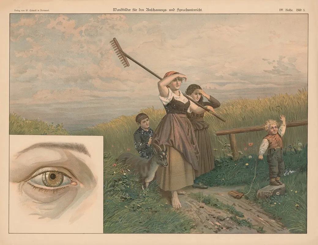 Eye Wall Art by W. Crüwell - High-Resolution Digital Print