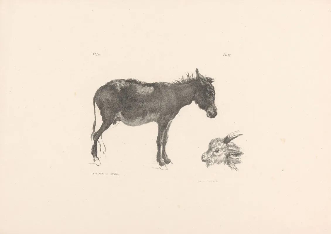 Ezel En Ramskop Wall Art by Roelof van der Meulen - High-Resolution Digital Print