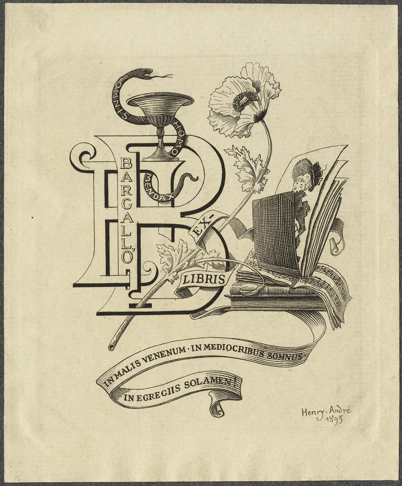 F Bargallo Wall Art by Henry Andre - High-Resolution Digital Print