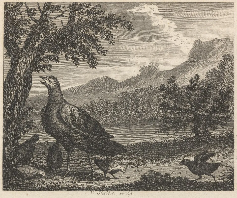 Fable Xxxviii The Turkey And The Ant