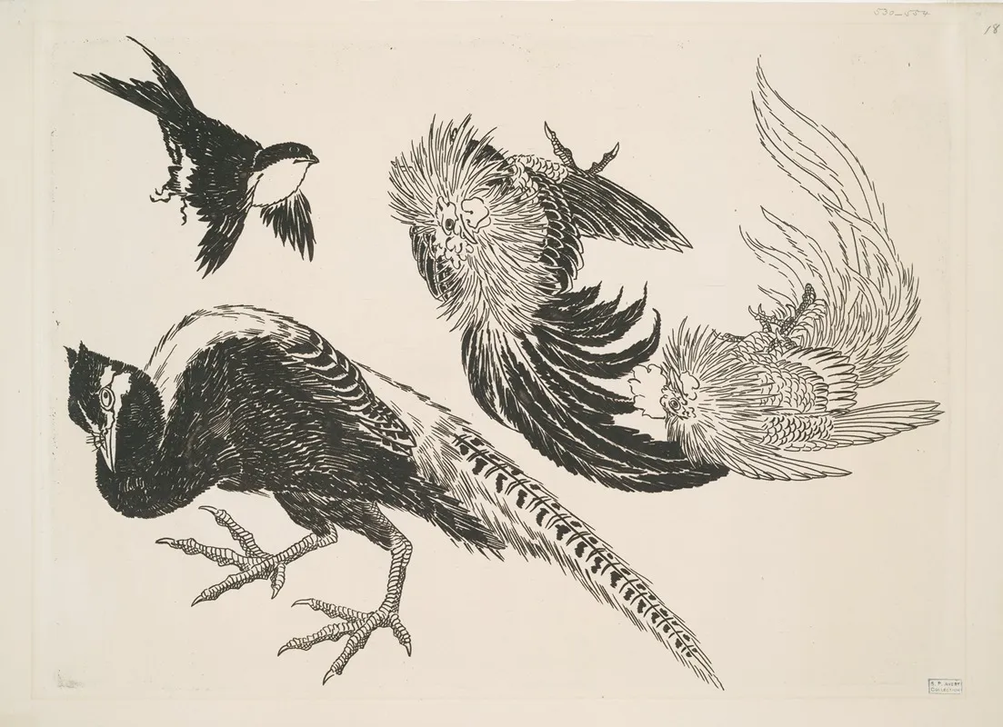 Faisans Oiseaux