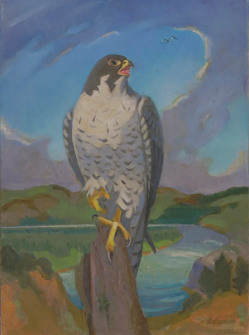 Falco Peregrinus Wall Art by James C. Kulhanek - High-Resolution Digital Print